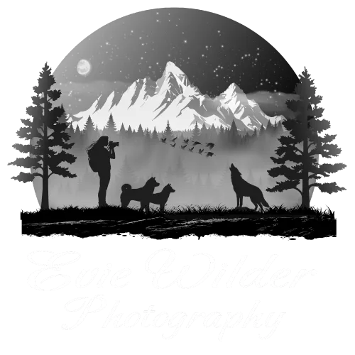 Evie Wilder Logo White lettering
