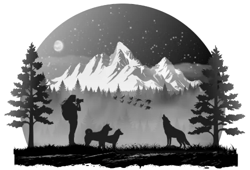 evie-wilder-logo-image